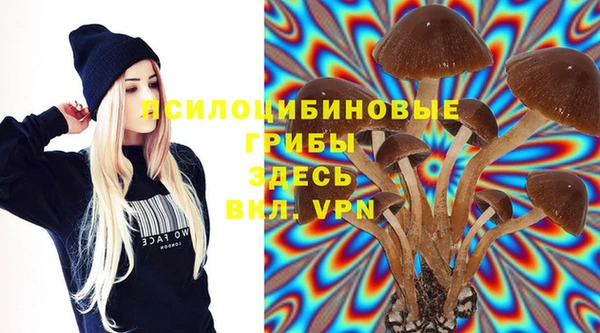 гашишное масло Аркадак