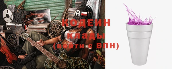 шишки Корсаков