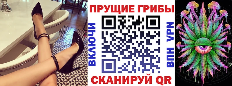 закладка  Армянск  Галлюциногенные грибы Psilocybine cubensis 